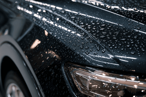 Water beading on a freshly ceramic-coated dark vehicle panel, hydrophobic effect