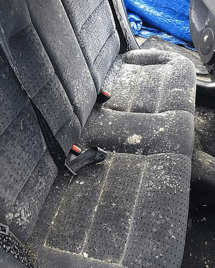 Stained and dirty fabric seats before detailing